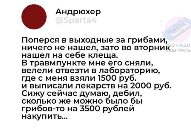 Немного грибного юмора Немного грибного юмора