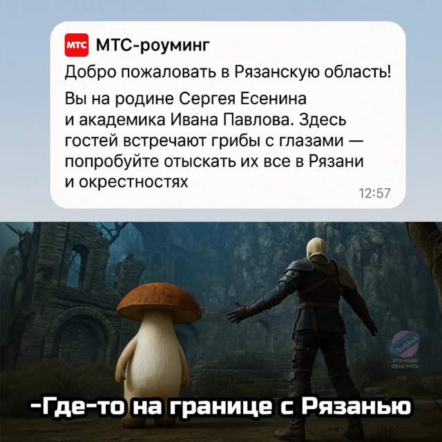 Немного грибного юмора Немного грибного юмора
