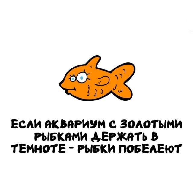 Интересные факты на все случаи жизни Интересные факты на все случаи жизни