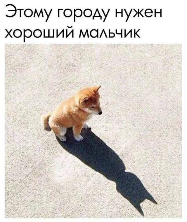 Лучшие шутки и мемы из Сети - 24.10.2025 Лучшие шутки и мемы из Сети - 24.10.2025