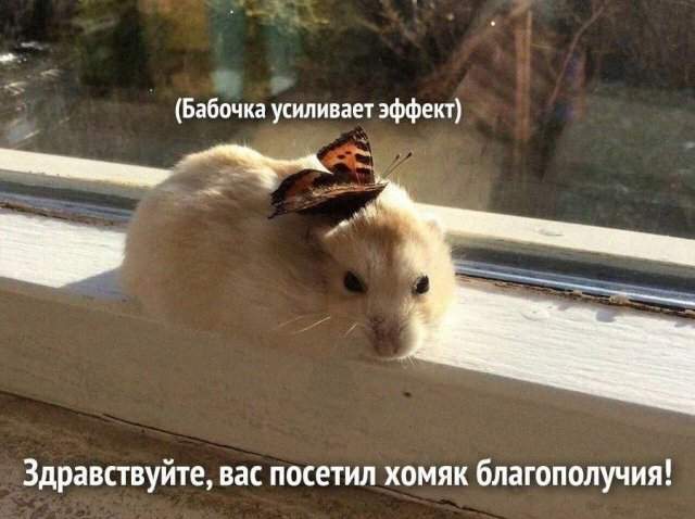 Лучшие шутки и мемы из Сети - 24.10.2025 Лучшие шутки и мемы из Сети - 24.10.2025