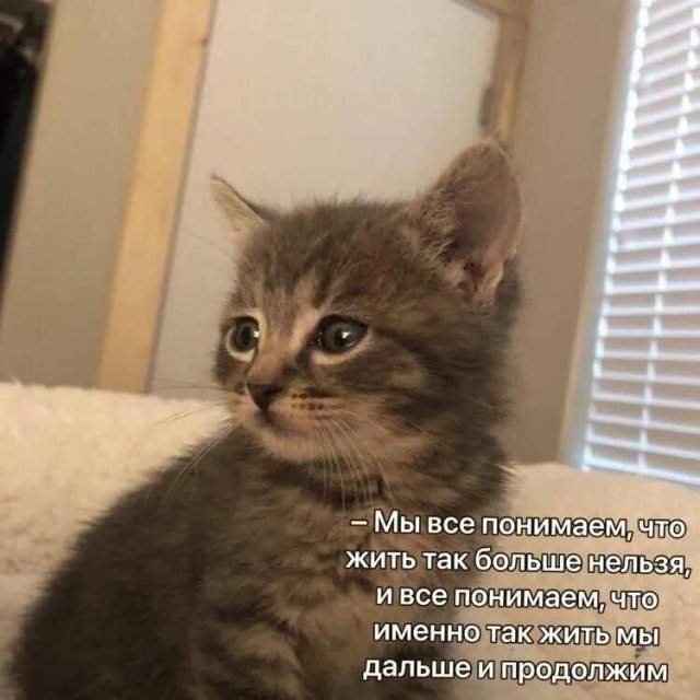 Лучшие шутки и мемы из Сети - 24.10.2025 Лучшие шутки и мемы из Сети - 24.10.2025