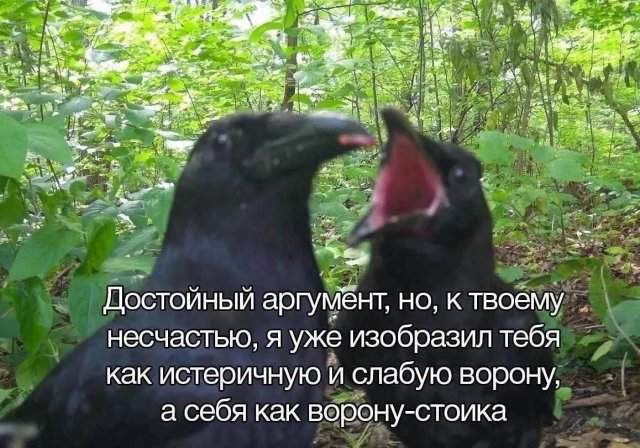 Лучшие шутки и мемы из Сети - 24.10.2025 Лучшие шутки и мемы из Сети - 24.10.2025